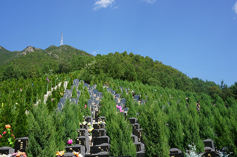 福田公墓位于哪个区 福田公墓的价格很高吗